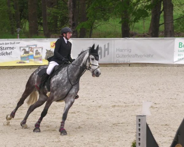 Reitturnier Karlsfeld 2023