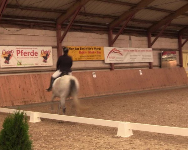 Reitturnier Elisenau 2021