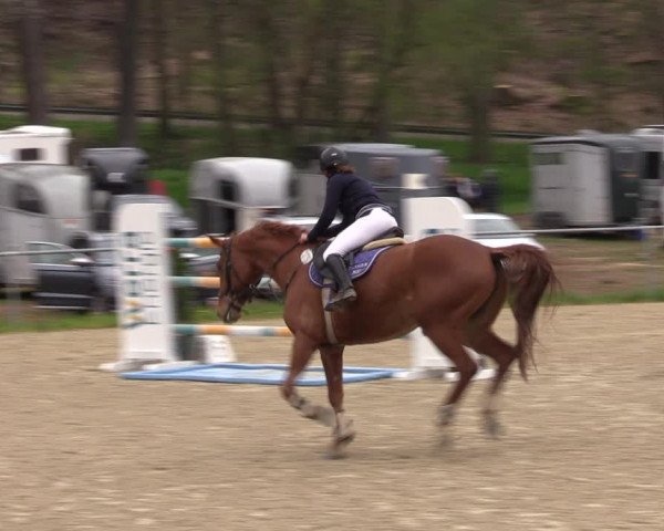 Reitturnier Bad Liebenstein/Sorga 2023
