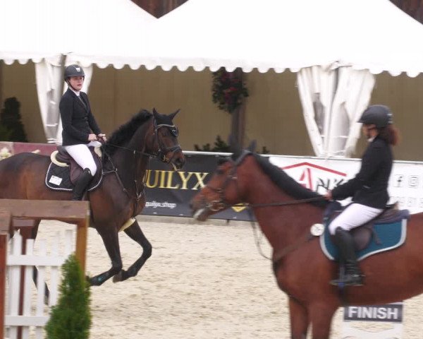 Reitturnier Karlsfeld 2023