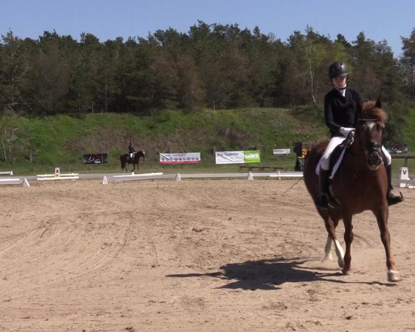 Reitturnier Colbitz 2023