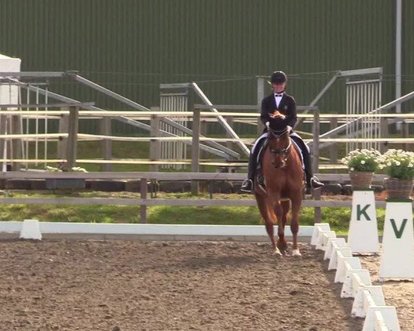 Reitturnier Kleinsolt 2023