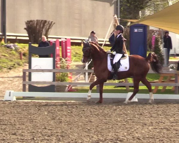 Reitturnier Kleinsolt 2023