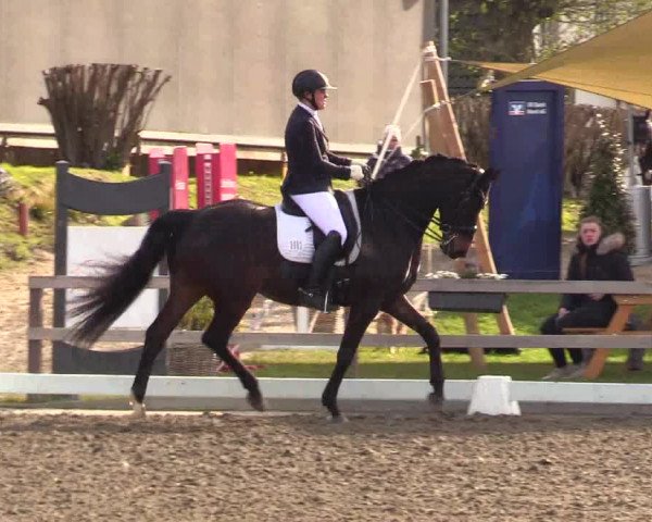 Reitturnier Kleinsolt 2023