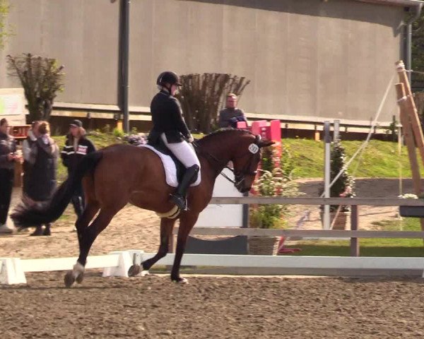Reitturnier Kleinsolt 2023
