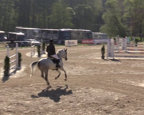 Reitturnier Bad Liebenstein/Sorga 2023