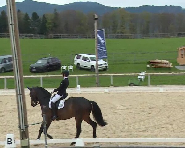Reitturnier Gut Bohmerhof/Obb. 2023