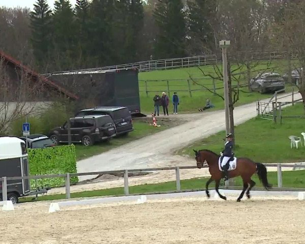 Reitturnier Gut Bohmerhof/Obb. 2023