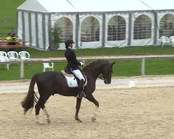 Reitturnier Gut Bohmerhof/Obb. 2023