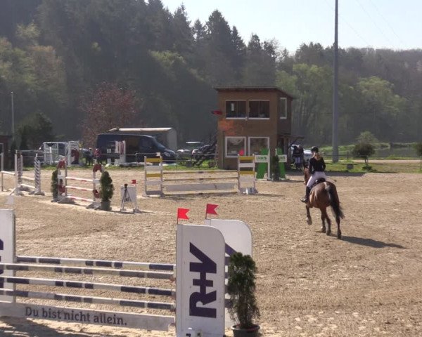 Reitturnier Bad Liebenstein/Sorga 2023