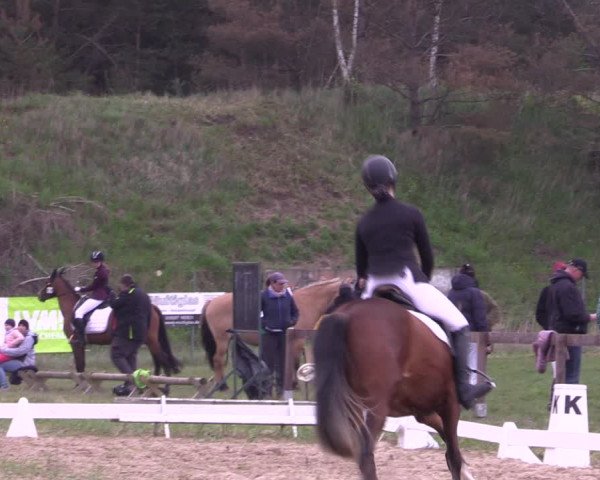 Reitturnier Colbitz 2023