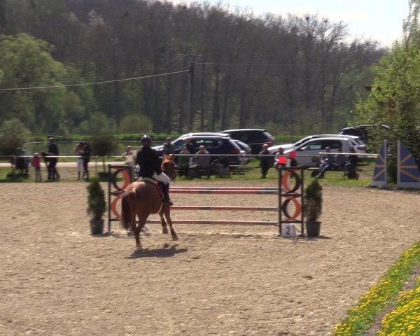 Reitturnier Bad Liebenstein/Sorga 2023