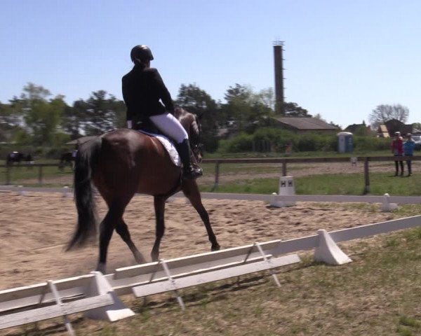 Reitturnier Colbitz 2023