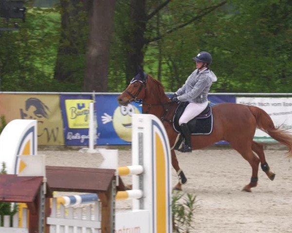 Reitturnier Karlsfeld 2023