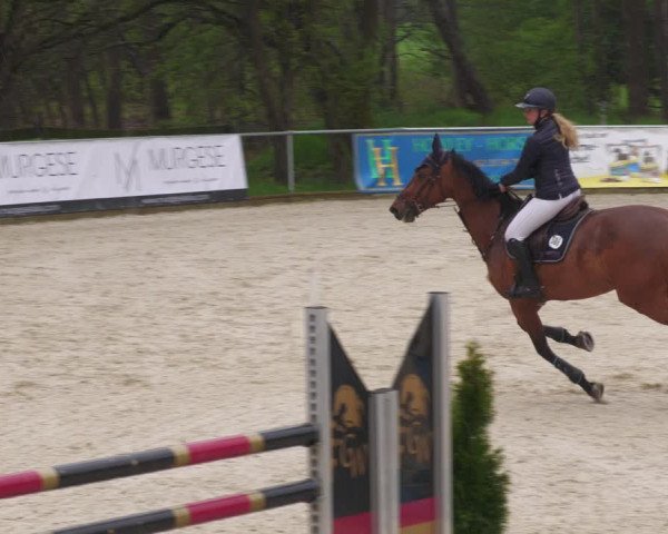Reitturnier Karlsfeld 2023