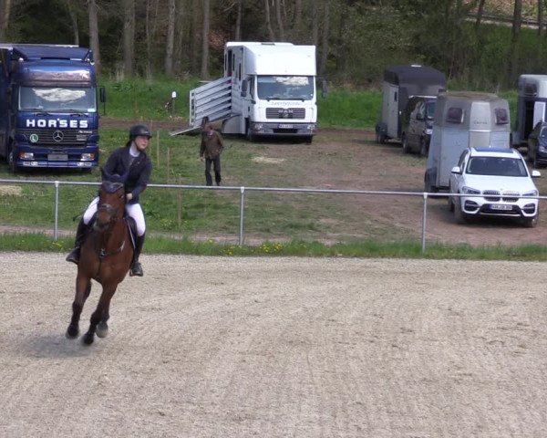 Reitturnier Bad Liebenstein/Sorga 2023