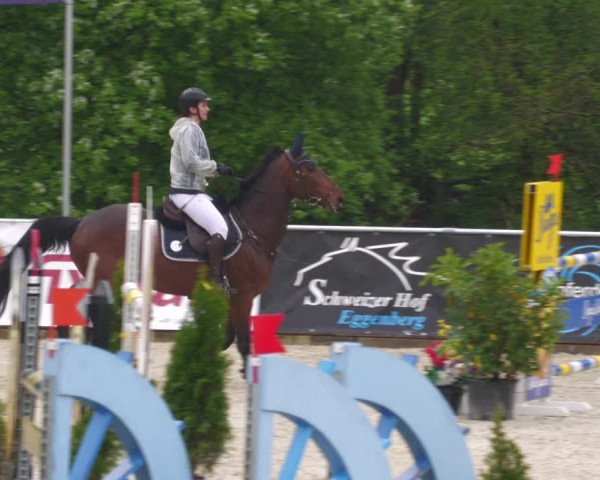 Reitturnier Karlsfeld 2023