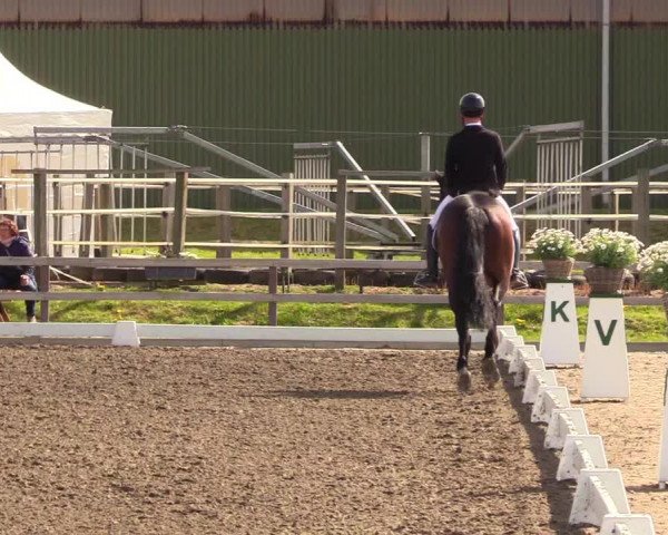 Reitturnier Kleinsolt 2023