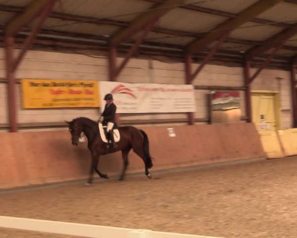 Reitturnier Elisenau 2021