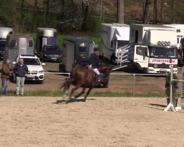 Reitturnier Bad Liebenstein/Sorga 2023