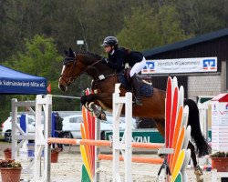 jumper Million Dollar Girl 4 (Oldenburg, 2018, from Million Dollar)