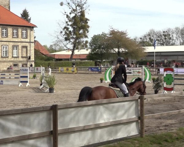 Reitturnier Hildesheim-Steuerwald 2023