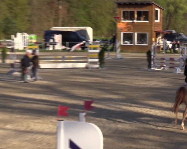 Reitturnier Bad Liebenstein/Sorga 2023