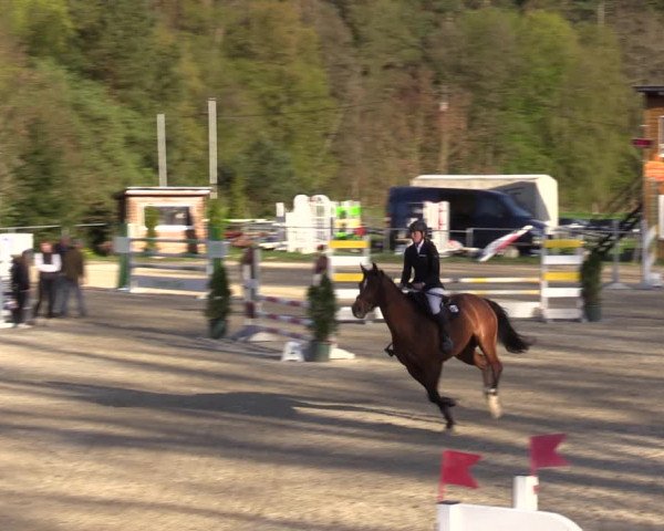 Reitturnier Bad Liebenstein/Sorga 2023