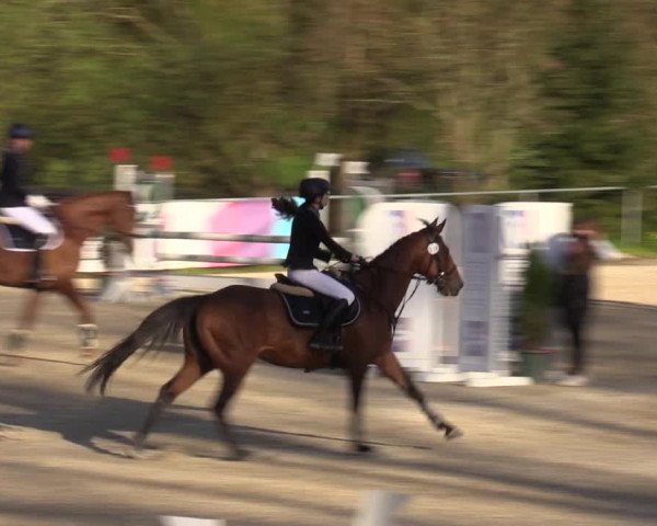 Reitturnier Bad Liebenstein/Sorga 2023