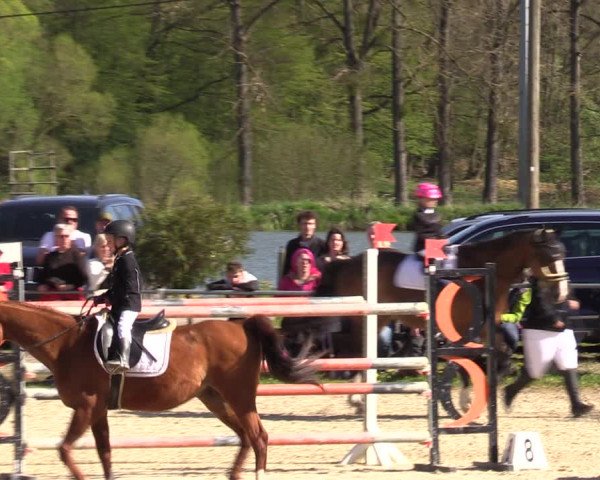 Reitturnier Bad Liebenstein/Sorga 2023