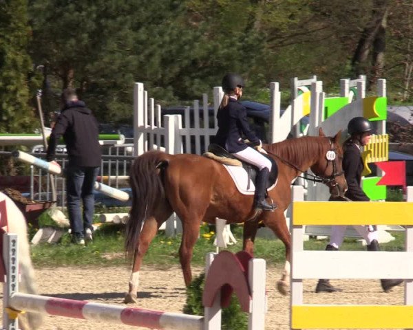 Reitturnier Bad Liebenstein/Sorga 2023