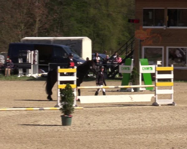 Reitturnier Bad Liebenstein/Sorga 2023