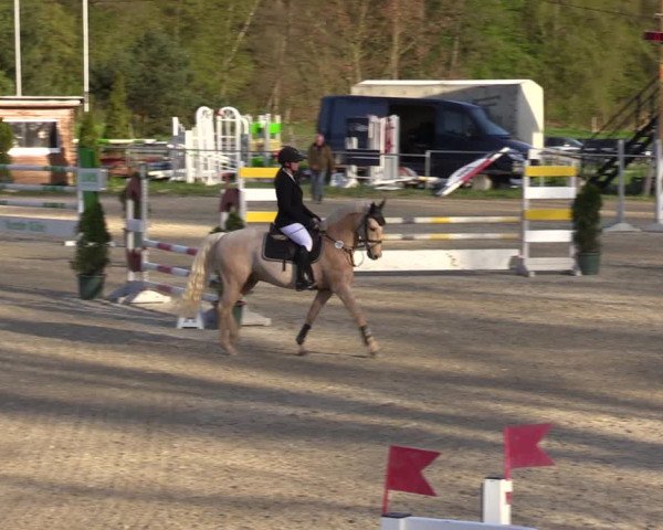 Reitturnier Bad Liebenstein/Sorga 2023