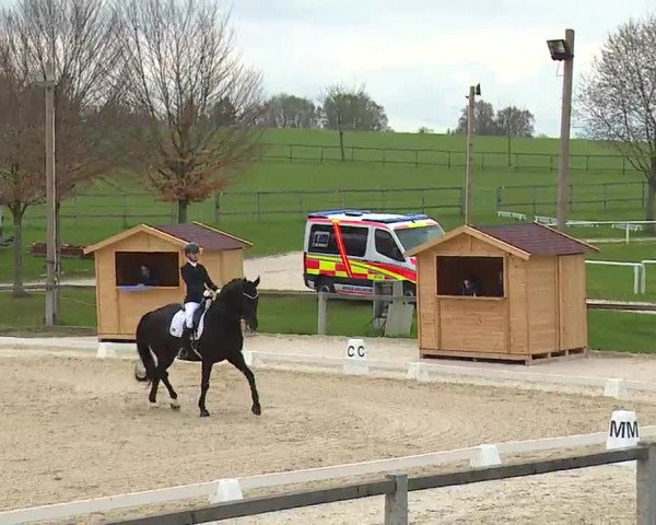 Reitturnier Gut Bohmerhof/Obb. 2023