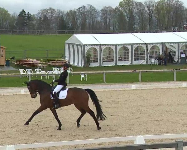 Reitturnier Gut Bohmerhof/Obb. 2023