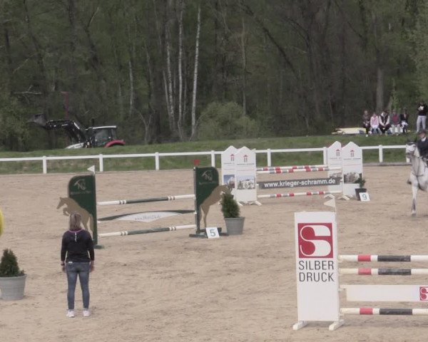 Reitturnier Oberkaufungen 2023