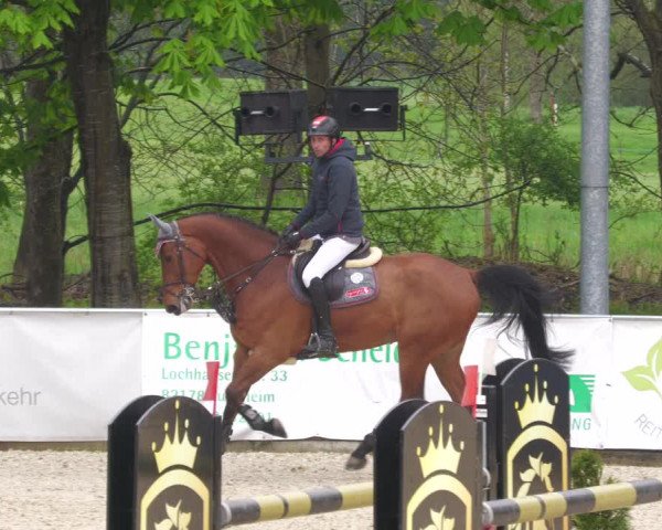 Reitturnier Karlsfeld 2023