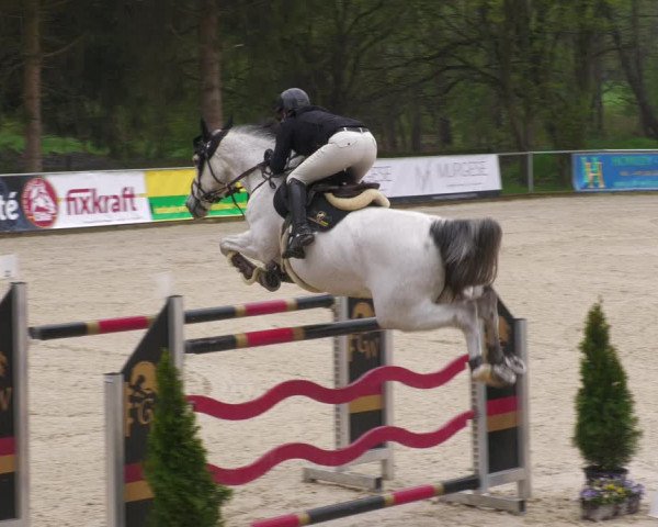 Reitturnier Karlsfeld 2023