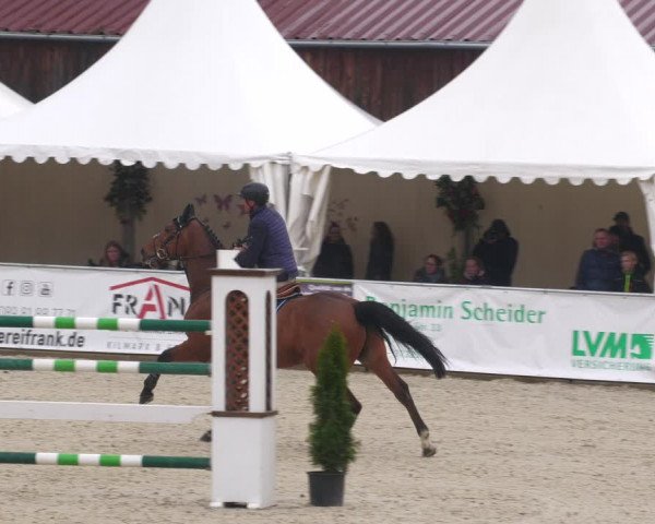 Reitturnier Karlsfeld 2023