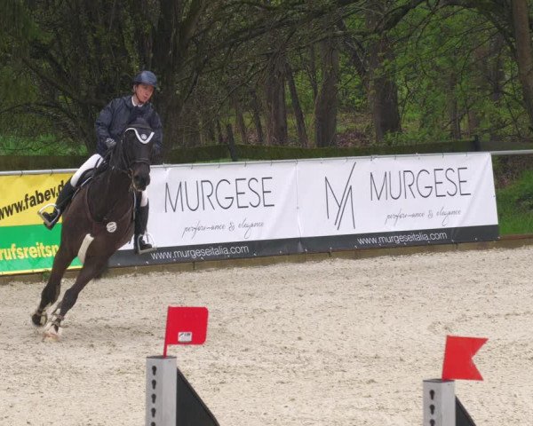 Reitturnier Karlsfeld 2023