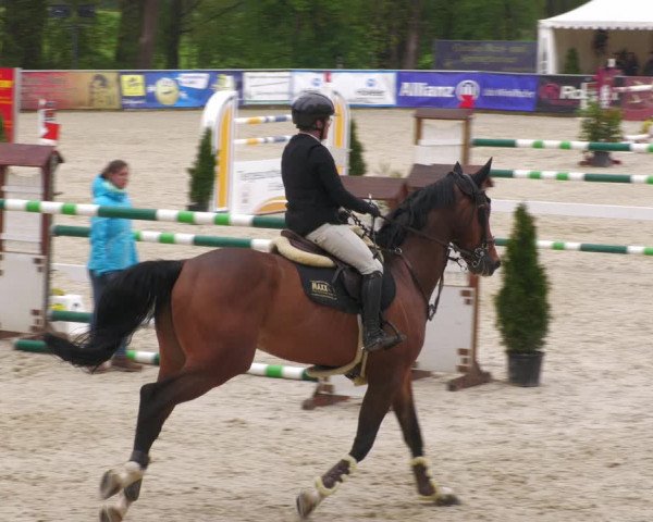 Reitturnier Karlsfeld 2023