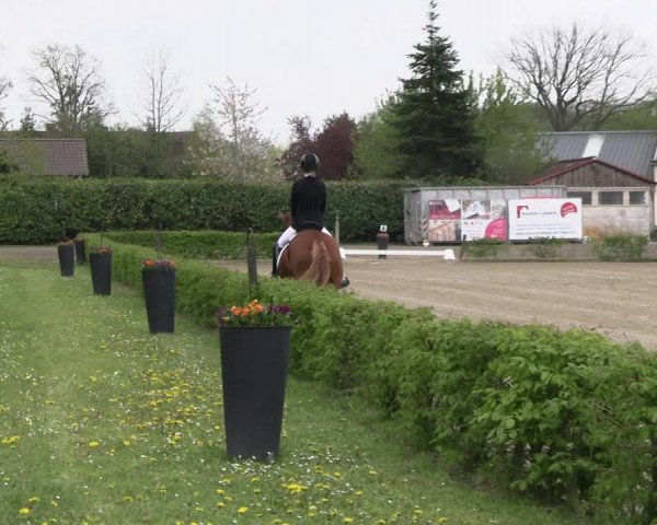 Reitturnier Olfen-Vinnum 2023