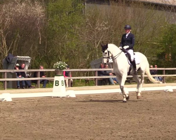 Reitturnier Kleinsolt 2023