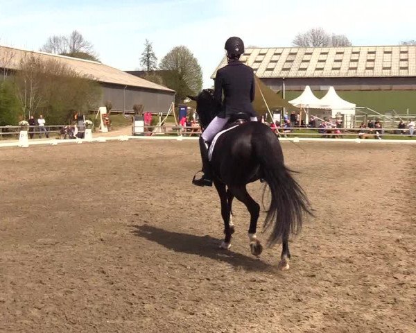 Reitturnier Kleinsolt 2023