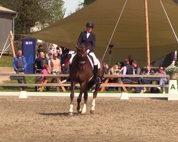 Reitturnier Kleinsolt 2023