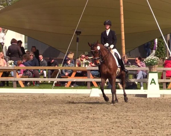 Reitturnier Kleinsolt 2023