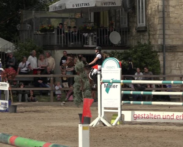 Reitturnier Hildesheim-Steuerwald 2023