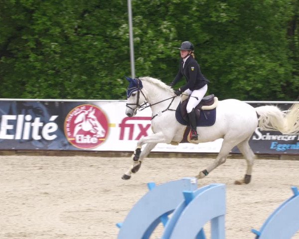 Reitturnier Karlsfeld 2023