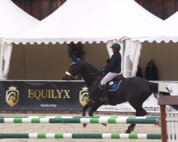 Reitturnier Karlsfeld 2023