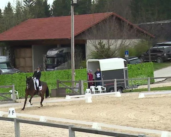Reitturnier Gut Bohmerhof/Obb. 2023